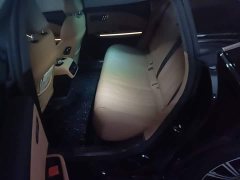 Geely Galaxy Xingyao 8 130km EM-P Explorer Edition - ფოტო 13