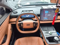 Geely Galaxy Xingyao 8 130km EM-P Explorer Edition - ფოტო 6