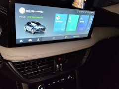 Ford Sharp 2020 EcoBoost 245 FWD Prestige - ფოტო 9