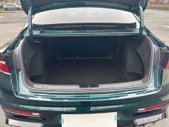 Geely Xingui Xingrui 2.0T Diesel Exclusive Cyan Green Edition - ფოტო 16
