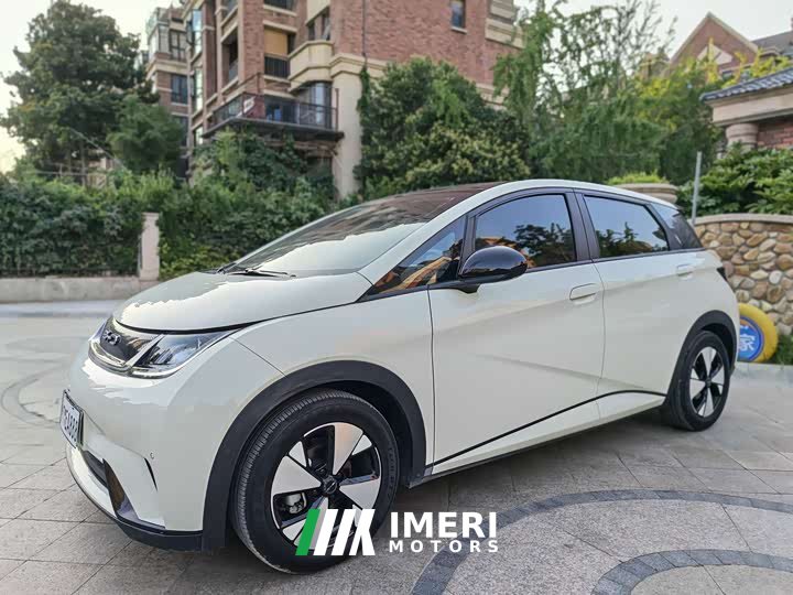 BYD Dolphin 2023 420km Fashion Edition - ავტომობილი ჩინეთიდან