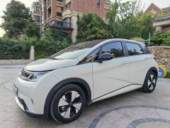 BYD Dolphin 2023 420km Fashion Edition - ფოტო 1
