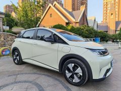 BYD Dolphin 2023 420km Fashion Edition - ფოტო 3
