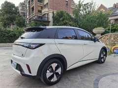 BYD Dolphin 2023 420km Fashion Edition - ფოტო 9
