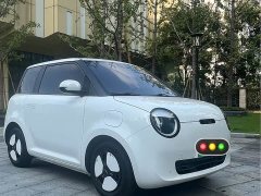 Changan Lumin 205km Xiangqin Edition - ფოტო 2