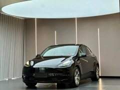 Tesla Model Y Rear-Wheel Drive - ფოტო 1