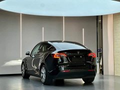 Tesla Model Y Rear-Wheel Drive - ფოტო 10