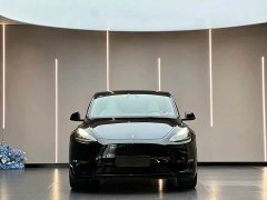 Tesla Model Y Rear-Wheel Drive - ფოტო 2
