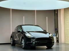 Tesla Model Y Rear-Wheel Drive - ფოტო 3