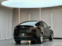 Tesla Model Y Rear-Wheel Drive - ფოტო 8