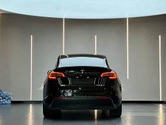 Tesla Model Y Rear-Wheel Drive - ფოტო 9