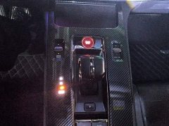 Trumpchi Leopard 400T Automatic R MAX - ფოტო 10