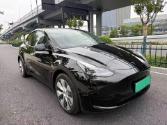 Tesla Model Y 2022 Facelift Rear-Wheel Drive - ფოტო 3