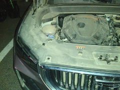 Geely Xingyue L 2.0T High-Power Automatic FWD Flagship - ფოტო 20