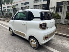 FAW Besturn Xiaoma 222km Lightning Edition - photo 7
