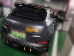 ORA Good Cat GT 2023 Mulan Edition 401km Prestige - ფოტო 4