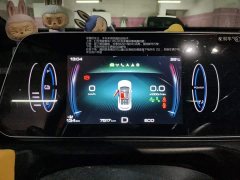 ORA Good Cat GT 2023 Mulan Edition 401km Prestige - ფოტო 7