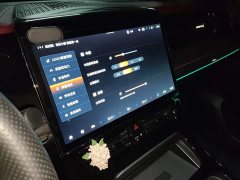 GAC Aion M8 Master Series Dual Engine Premium Edition - ფოტო 14