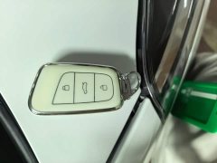 Chery Ant 251km True Love Edition LFP Battery - ფოტო 10