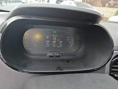 Chery Ant 251km True Love Edition LFP Battery - ფოტო 13