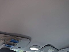 Chery Ant 251km True Love Edition LFP Battery - ფოტო 20