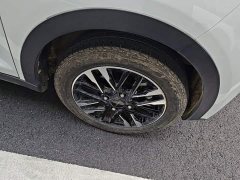 Chery Ant 251km True Love Edition LFP Battery - ფოტო 9