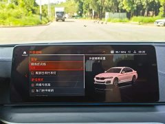 BMW 5 Series 530Li Luxury M Sport Package - ფოტო 19