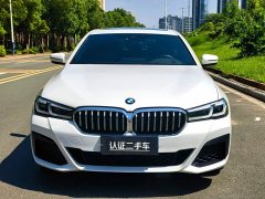 BMW 5 Series 530Li Luxury M Sport Package - ფოტო 2