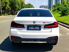 BMW 5 Series 530Li Luxury M Sport Package - ფოტო 6