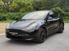 Tesla Model Y Rear-Wheel Drive - ფოტო 1