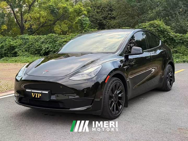 Tesla Model Y Rear-Wheel Drive