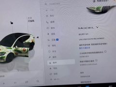 Tesla Model Y Rear-Wheel Drive - ფოტო 10