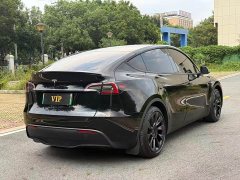 Tesla Model Y Rear-Wheel Drive - ფოტო 12