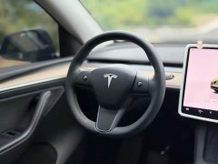 Tesla Model Y Rear-Wheel Drive - ფოტო 8