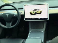 Tesla Model Y Rear-Wheel Drive - ფოტო 9