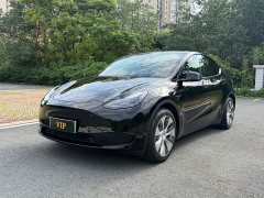 Tesla Model Y 2022 Facelift Rear-Wheel Drive - ფოტო 1