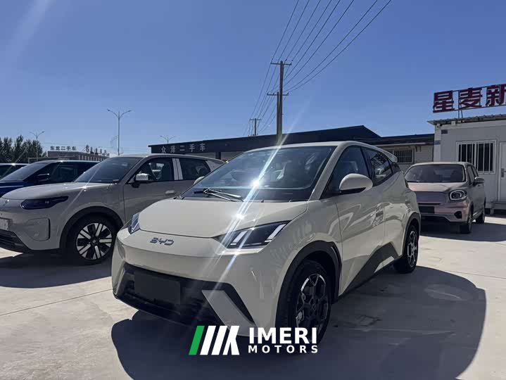 BYD Seagull 2025 305km Freedom Edition - ავტომობილი ჩინეთიდან