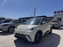 BYD Seagull 2025 305km Freedom Edition - ფოტო 1