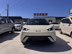 BYD Seagull 2025 305km Freedom Edition - ფოტო 2