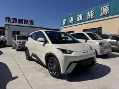 BYD Seagull 2025 305km Freedom Edition - ფოტო 3