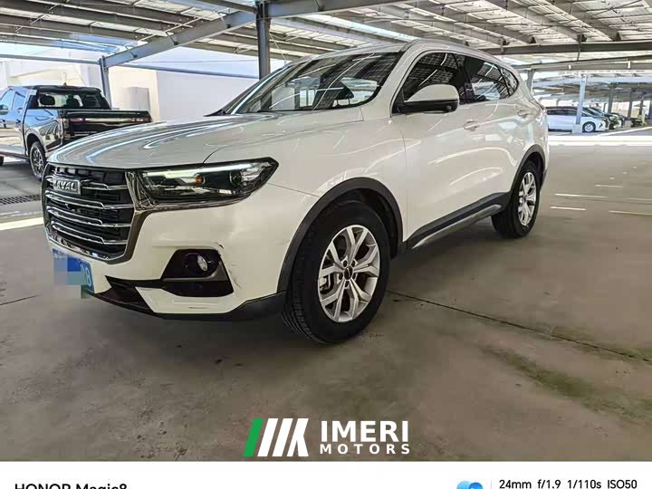 Haval H6 2021 National Trend 1.5T Automatic Champion Edition - ავტომობილი ჩინეთიდან