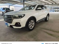 Haval H6 2021 National Trend 1.5T Automatic Champion Edition - ფოტო 1