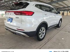 Haval H6 2021 National Trend 1.5T Automatic Champion Edition - ფოტო 6