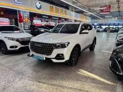 Haval H6 National Trend Edition 1.5T Automatic Urban Version - ფოტო 1