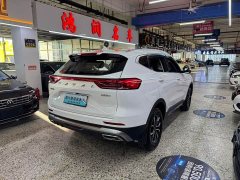 Haval H6 National Trend Edition 1.5T Automatic Urban Version - ფოტო 13