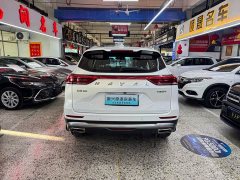 Haval H6 National Trend Edition 1.5T Automatic Urban Version - ფოტო 14