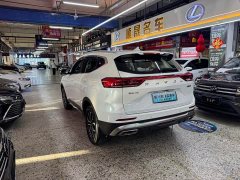 Haval H6 National Trend Edition 1.5T Automatic Urban Version - ფოტო 15