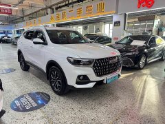 Haval H6 National Trend Edition 1.5T Automatic Urban Version - ფოტო 3