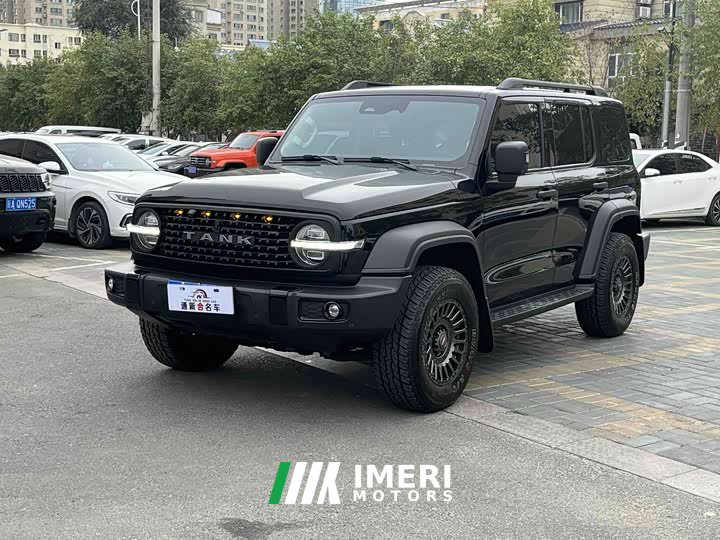 Tank 300 2021 Off-Road Edition 2.0T Challenger - ავტომობილი ჩინეთიდან