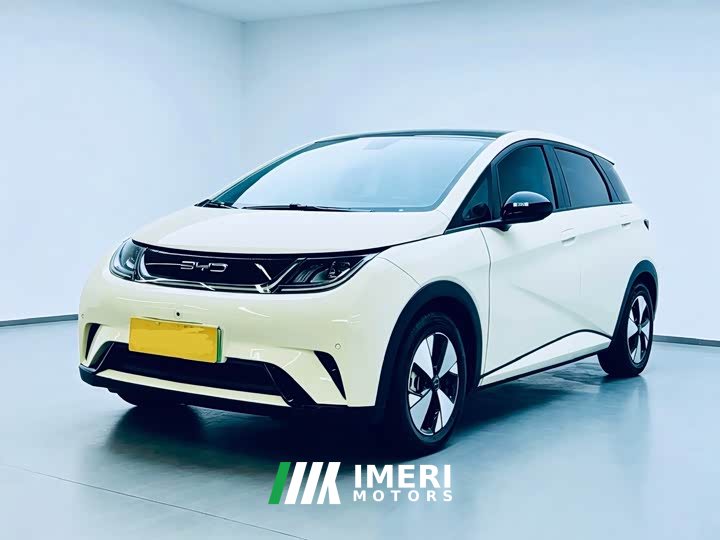 BYD Dolphin 420km Fashion Edition - ავტომობილი ჩინეთიდან